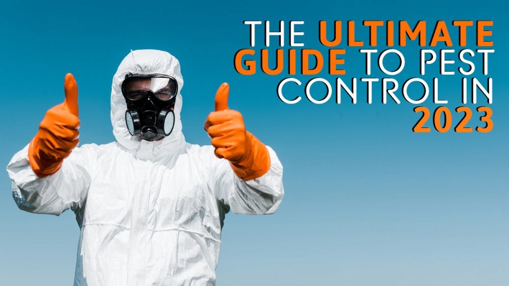 The Ultimate Guide to Pest Control in 2023